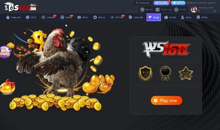 Sảnh Đá Gà S666 thiết kế giao diện đẹp, ấn tượng