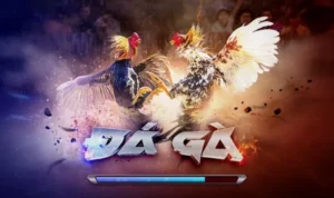 Đá Gà 3D Tại S666