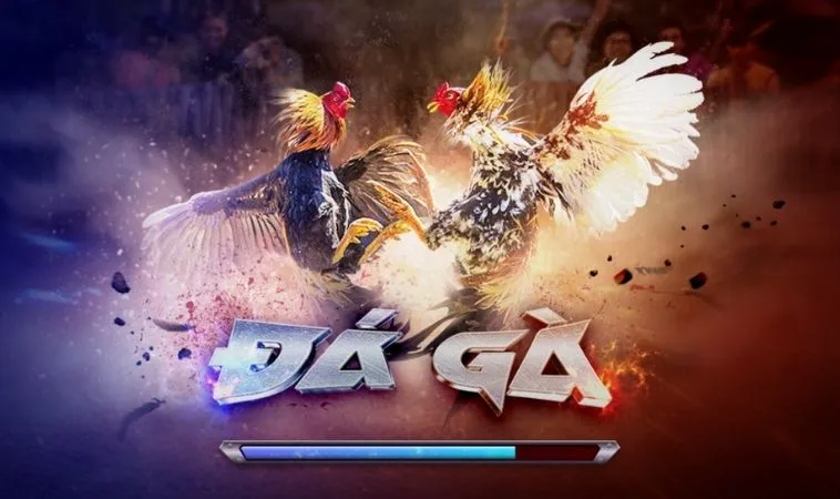 Đá Gà 3D Tại S666