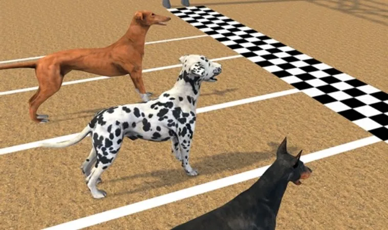 Hướng Dẫn Cách Chơi Game Nhanh Đua Chó Tại S666 Thắng Lớn 2 Cách chơi game nhanh Đua Chó Tại S666