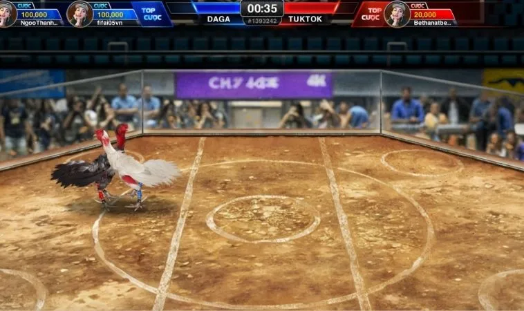Cách chơi Đá Gà 3D Tại S666