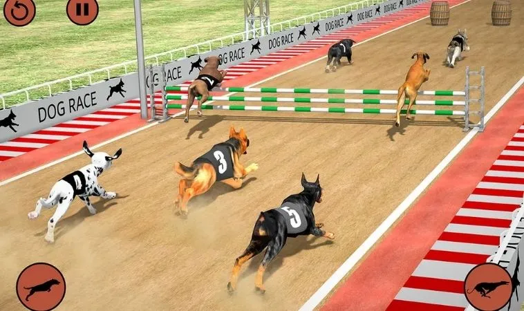 Hướng Dẫn Cách Chơi Game Nhanh Đua Chó Tại S666 Thắng Lớn 1 Đua Chó Tại S666