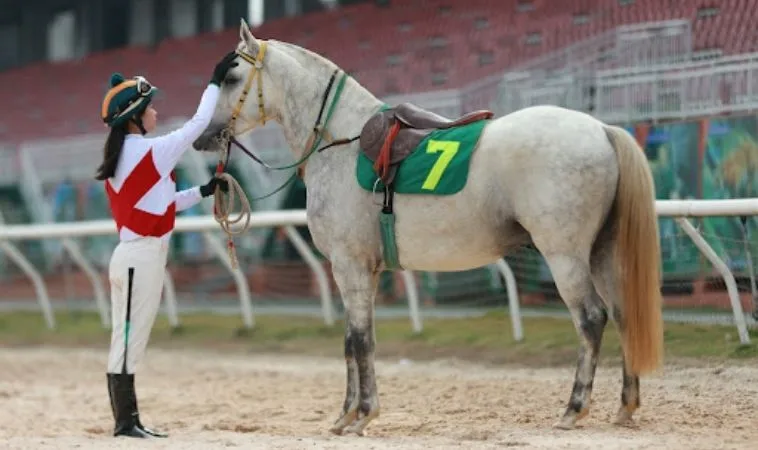 Tìm Hiểu Cá Cược Đua Ngựa S666: Bí Quyết Thắng Lớn Từ Cao Thủ 1 đua ngựa S666