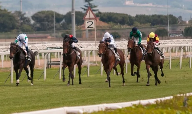 Tìm Hiểu Cá Cược Đua Ngựa S666: Bí Quyết Thắng Lớn Từ Cao Thủ 2 Cần tìm hiểu về bộ môn đua ngựa S666 trước khi tham gia cá cược